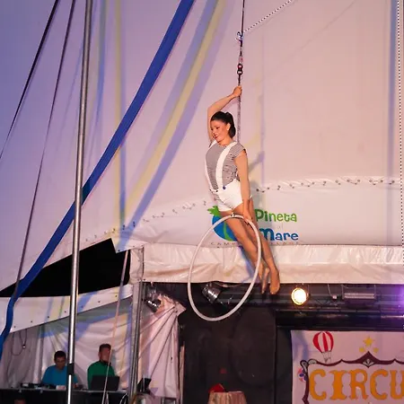 Vakantiepark Village